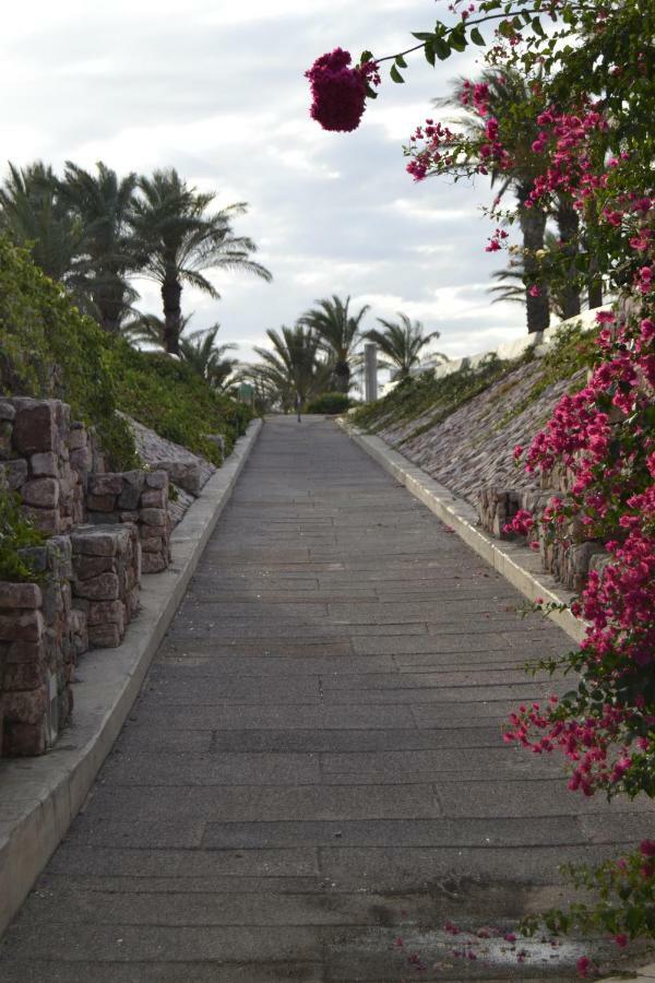 Apartamento Cabo De Gata Retamar  Exterior foto